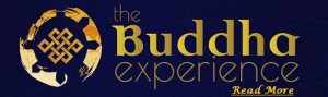 Buddha experience